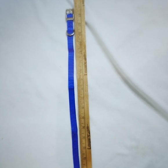 DOG -STONE COASTER with Easel and Nylon Collar - Picture 11 of 14